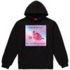 Pony Memes I Cant Drive A Car But I Can Drive You Hoodie