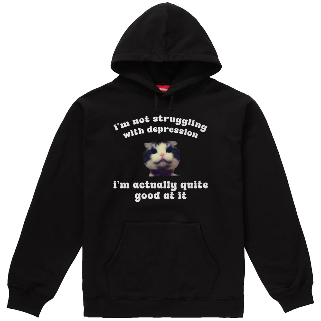 Cat I'm Not Struggeling With Actually Quite Hoodie Cat I'm Not Struggeling With Actually Quite Hoodie