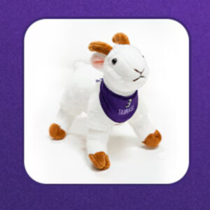 2026 Diana Taurasi 3 Goat Plush